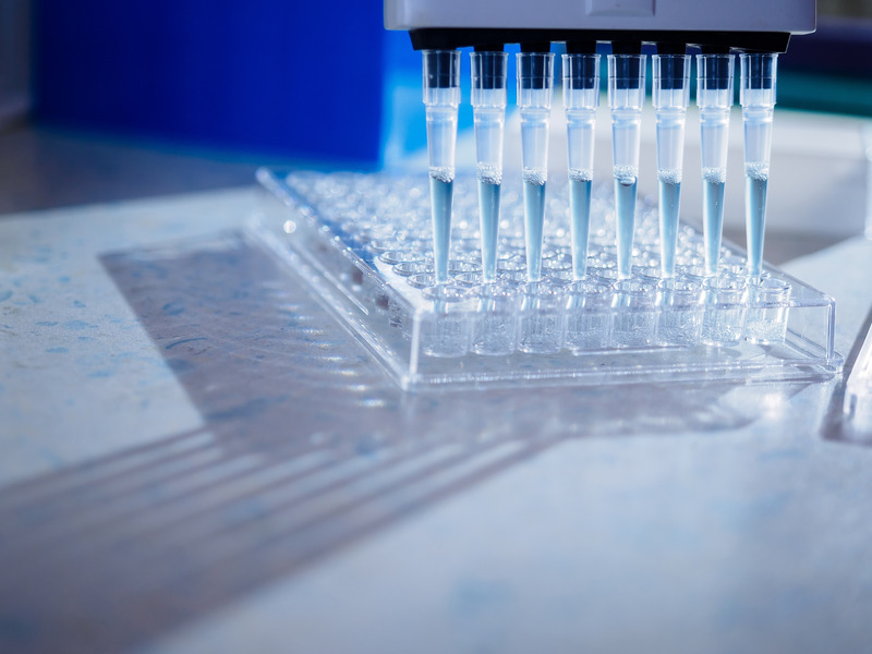 Multichannel pipette dispensing reagent into a 96-well plate on a lab bench
